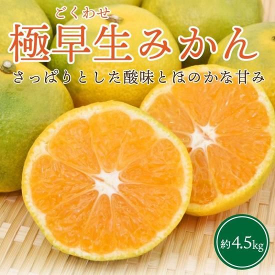 初物セール‼️極早生みかん　秀品＋家庭用込み　小粒っこ4.5kg 愛媛県産「秀品 極早生みかん（2S-S）」5kgのお得通販