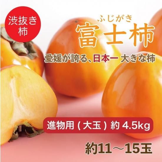 愛媛八幡浜特産】富士柿【家庭用(大・小込み)】約4.5kg 約12~20玉 旬の