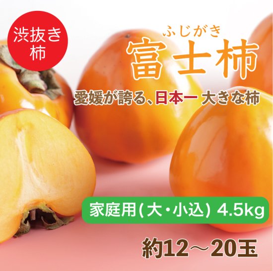 富士柿 家庭用 大 小込み 5kg 約12 20玉 マルワフルーツ園芸