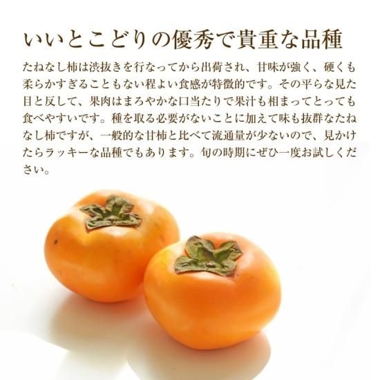 ͽʡۤͤʤڿʪѡ5kg 20~25