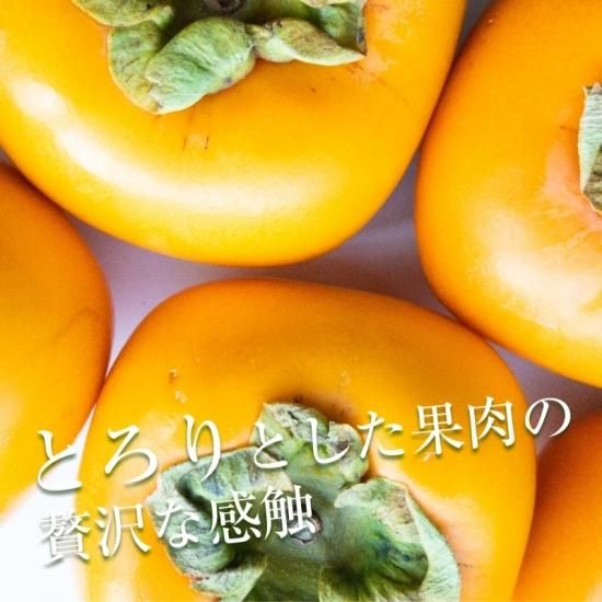 ͽʡۤͤʤڿʪѡ5kg 20~25