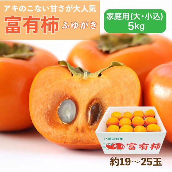 富有柿【家庭用(大・小込み)】5kg 約19~25玉
