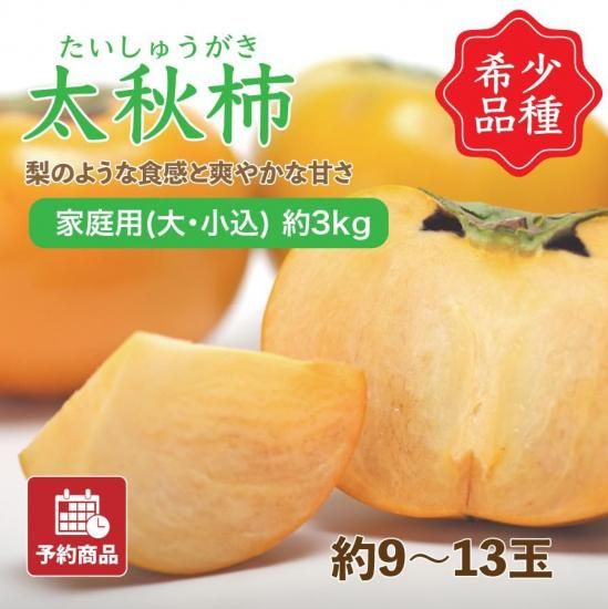 ͽʡڲ(硦)3kg 9~13
