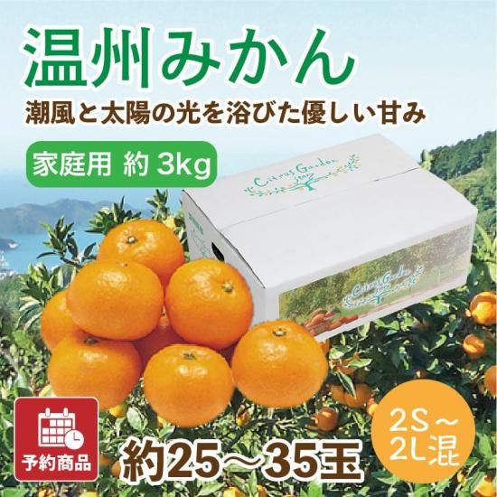 ߤڲ(2S~2L)3kg 25~35