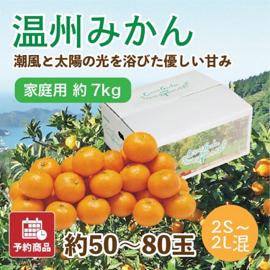 温州みかん【家庭用(こつぶっこ)】3kg 約40~60玉 旬の甘くておいしい