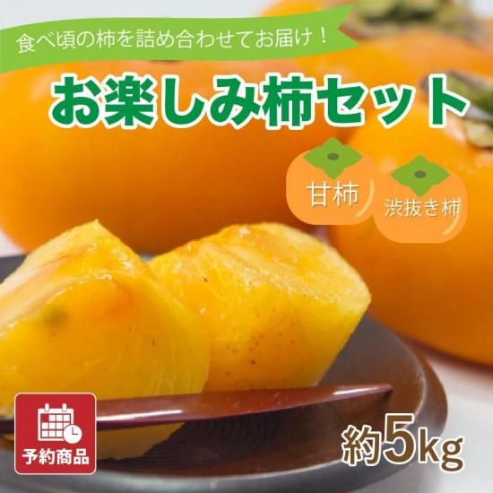 ͽʡۤڤ߳åȡڴų֥̥5kg 