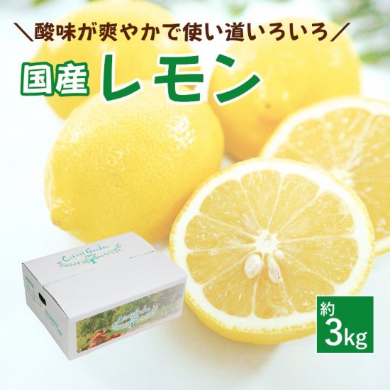 国産レモン 約3kg