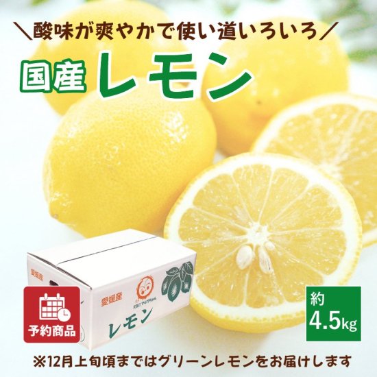 国産】レモン 4.5kg 旬のみずみずしいレモンを愛媛からお取り寄せ