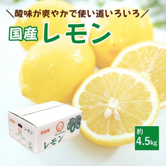 国産レモン 4.5kg