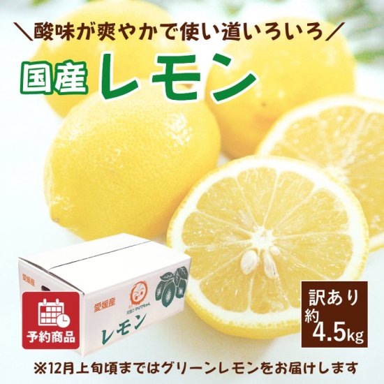 国産レモン 混合 10キロ 訳あり