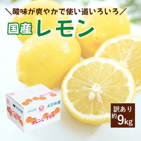 国産レモン【訳あり】 9kg