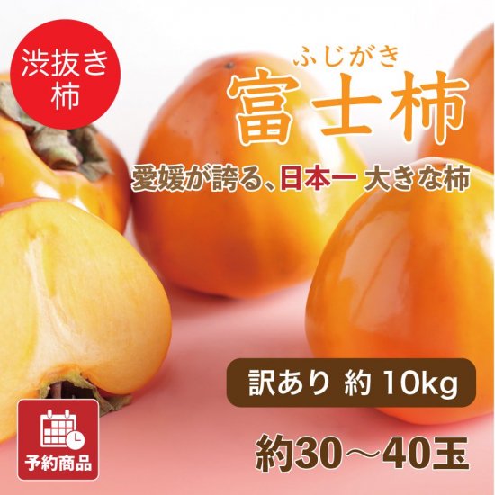 柿 10kg (1kg＝4ー6個) - 果物