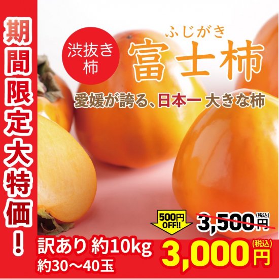 訳あり 大量大特価 富士柿 10kg 約30 40玉 旬の甘くておいしい柿を産地直送 マルワフルーツ園芸