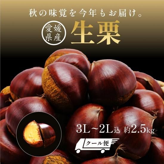 予約商品】会員様限定価格 生栗(皮付き) 3L~2L込 約4.5kg