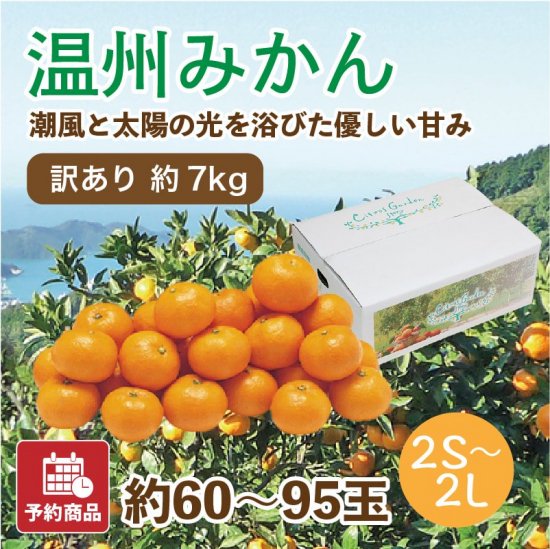 訳あり・大量大特価】温州みかん 7kg 約60~95玉 旬の甘くておいしい