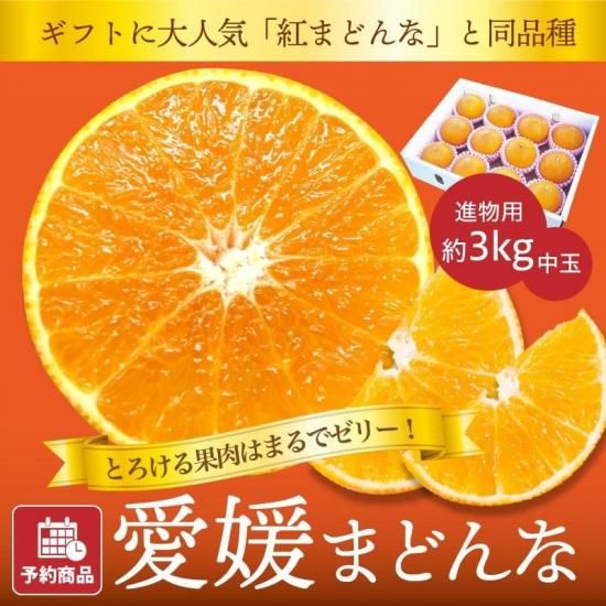 【予約商品】 愛媛まどんな【進物用・化粧箱入】約3kg 中玉
