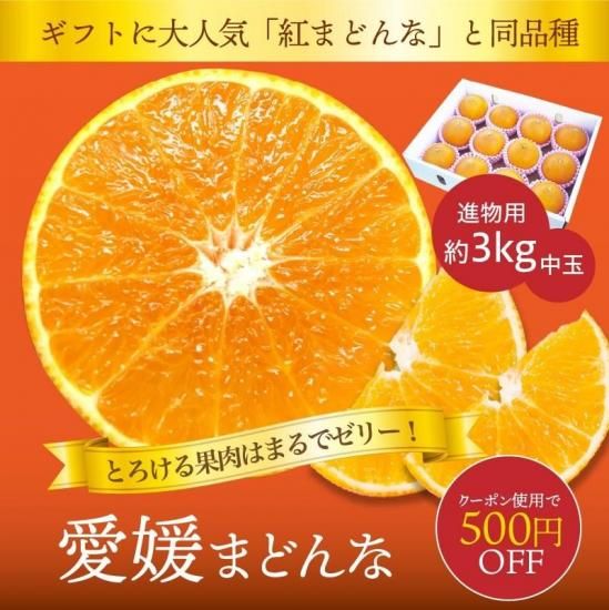 ڥݥѤ500߰۰ɲޤɤʡڿʪѡȢ3kg 