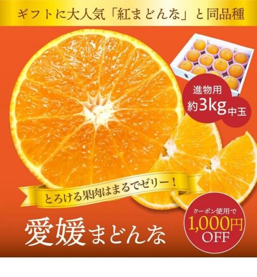 会員様限定価格【訳あり・サイズ不揃い】 愛媛まどんな 約4.5kg 紅ま
