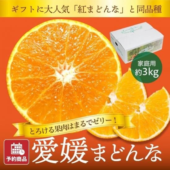 【予約商品】愛媛まどんな【家庭用】約3kg