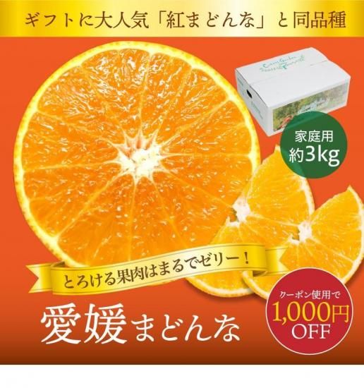 私の商品をご覧いただきありがとうございます。 ゴム付タグ（丸）ありがとうございます｜株式会社 吉村 - お茶や海苔