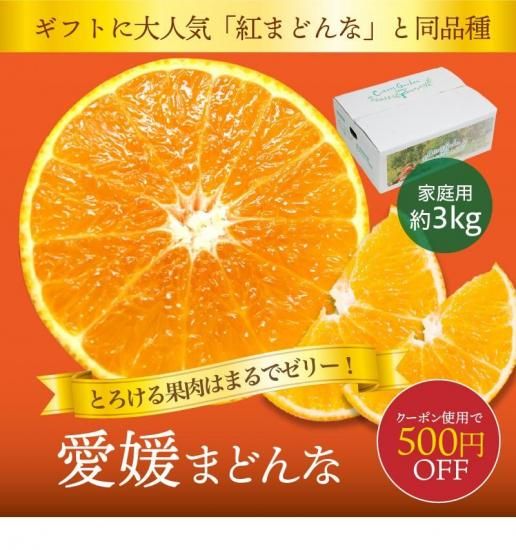 ڥݥѤ500߰۰ɲޤɤʡڲѡ3kg 