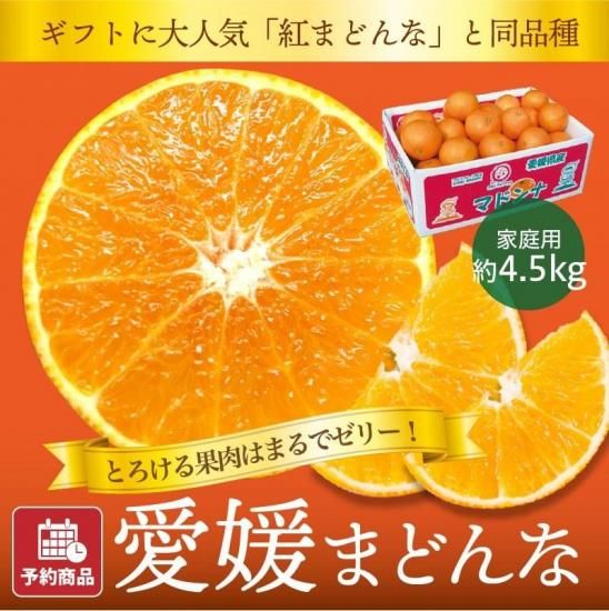 【予約商品】愛媛まどんな【家庭用】約4.5kg