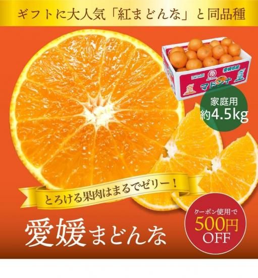 ڥݥѤ500߰۰ɲޤɤʡڲѡ4.5kg 