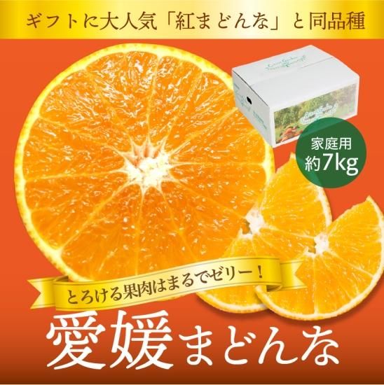ɲޤɤʡڲѡ7kg 