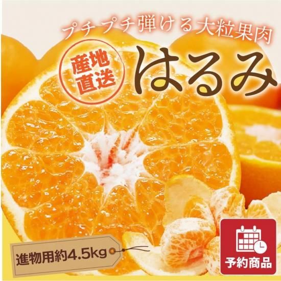 【予約商品】はるみ 【進物用】約4.5kg
