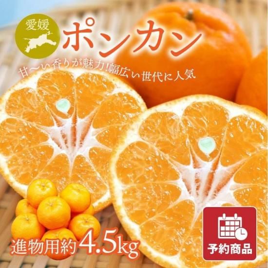 【予約商品】ポンカン 【進物用】約4.5kg