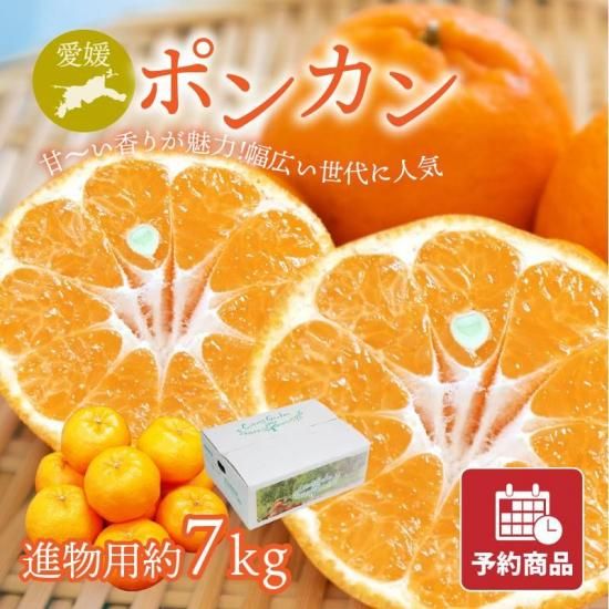 【予約商品】ポンカン 【進物用】約7kg