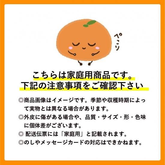 【予約商品】ポンカン 【家庭用】約4.5kg