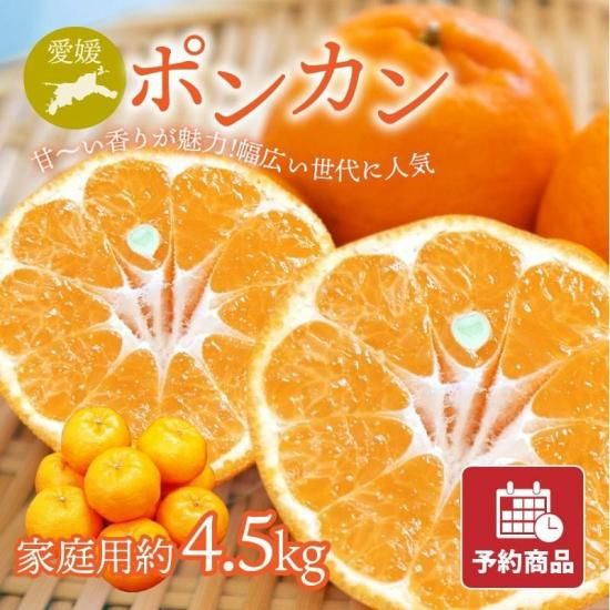 ͽʡۥݥ󥫥 ڲѡ4.5kg