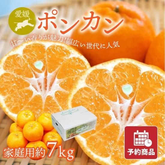 【予約商品】ポンカン 【家庭用】約7kg