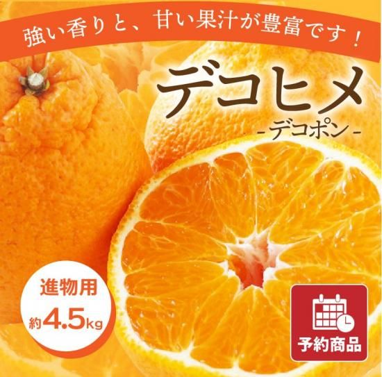 ��ͽ���ʡۥǥ��ҥ� �ڿ�ʪ�ѡ���4.5kg