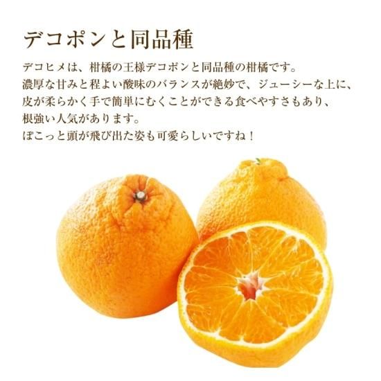 ��ͽ���ʡۥǥ��ҥ� �ڿ�ʪ�ѡ���4.5kg