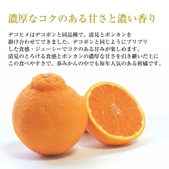 ��ͽ���ʡۥǥ��ҥ� �ڿ�ʪ�ѡ���4.5kg