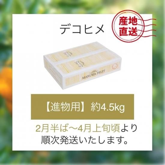 ��ͽ���ʡۥǥ��ҥ� �ڿ�ʪ�ѡ���4.5kg