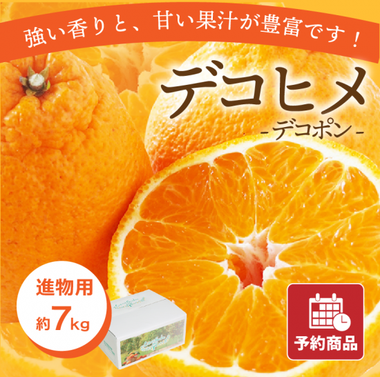 ��ͽ���ʡۥǥ��ҥ� �ڿ�ʪ�ѡ���7kg