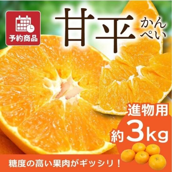 【予約商品】甘平 (かんぺい)【進物用・化粧箱】約3kg