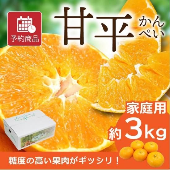 ͽʡ۴ʿ (ڤ)ڲѡ3kg 