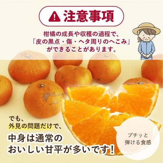 【予約商品】甘平 (かんぺい)【家庭用】約4.5kg