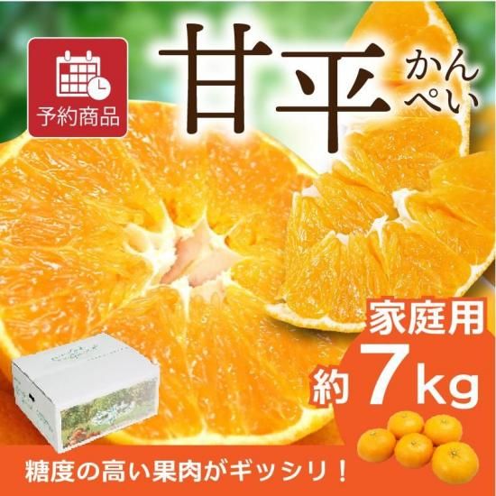 ͽʡ۴ʿ (ڤ)ڲѡ7kg 