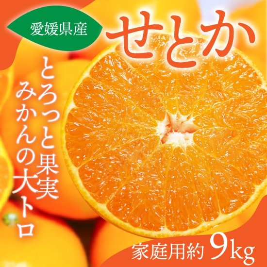 せとか(セトカ)【進物用】約4.5kg 旬の甘くておいしいみかんをお