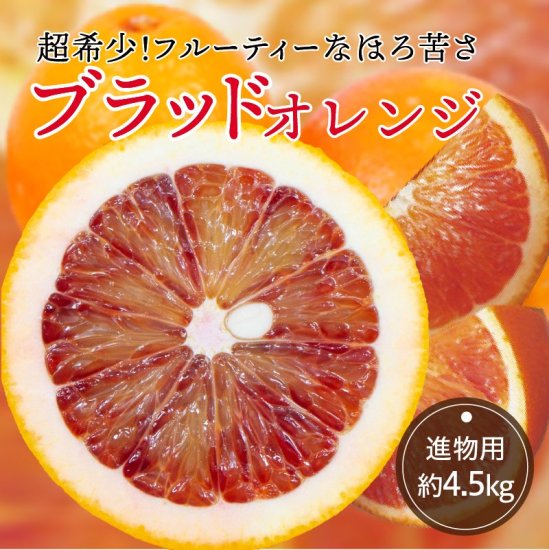 ブラッドオレンジ【進物用】約4.5kg 