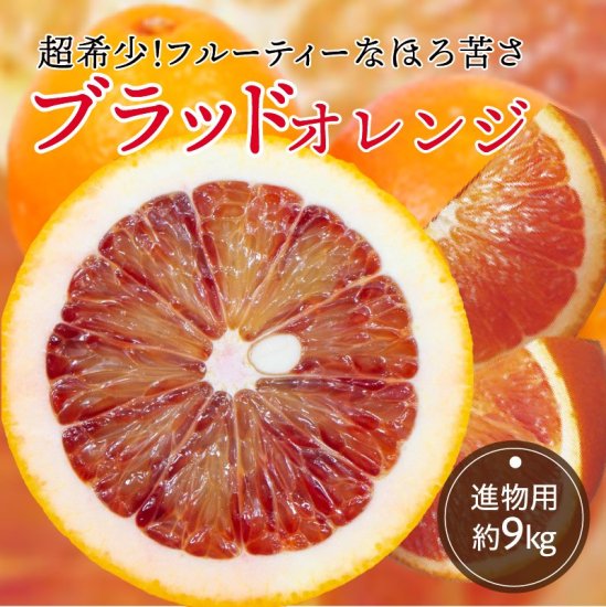 ブラッドオレンジ【進物用】約9kg 