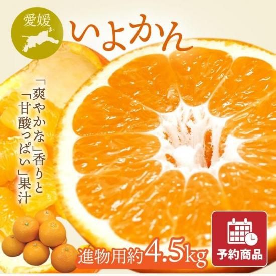 ͽʡۤ褫 ڿʪѡ4.5kg