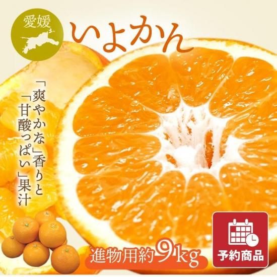 ͽʡۤ褫 ڿʪѡ9kg