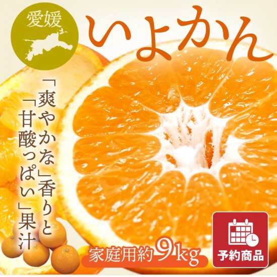 いよかん(伊予柑) 【家庭用】約9kg 旬の甘くておいしいみかんをお取り寄せ - マルワフルーツ園芸