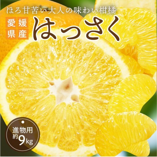 はっさく【進物用】約9kg 旬の甘くておいしいみかんをお取り寄せ